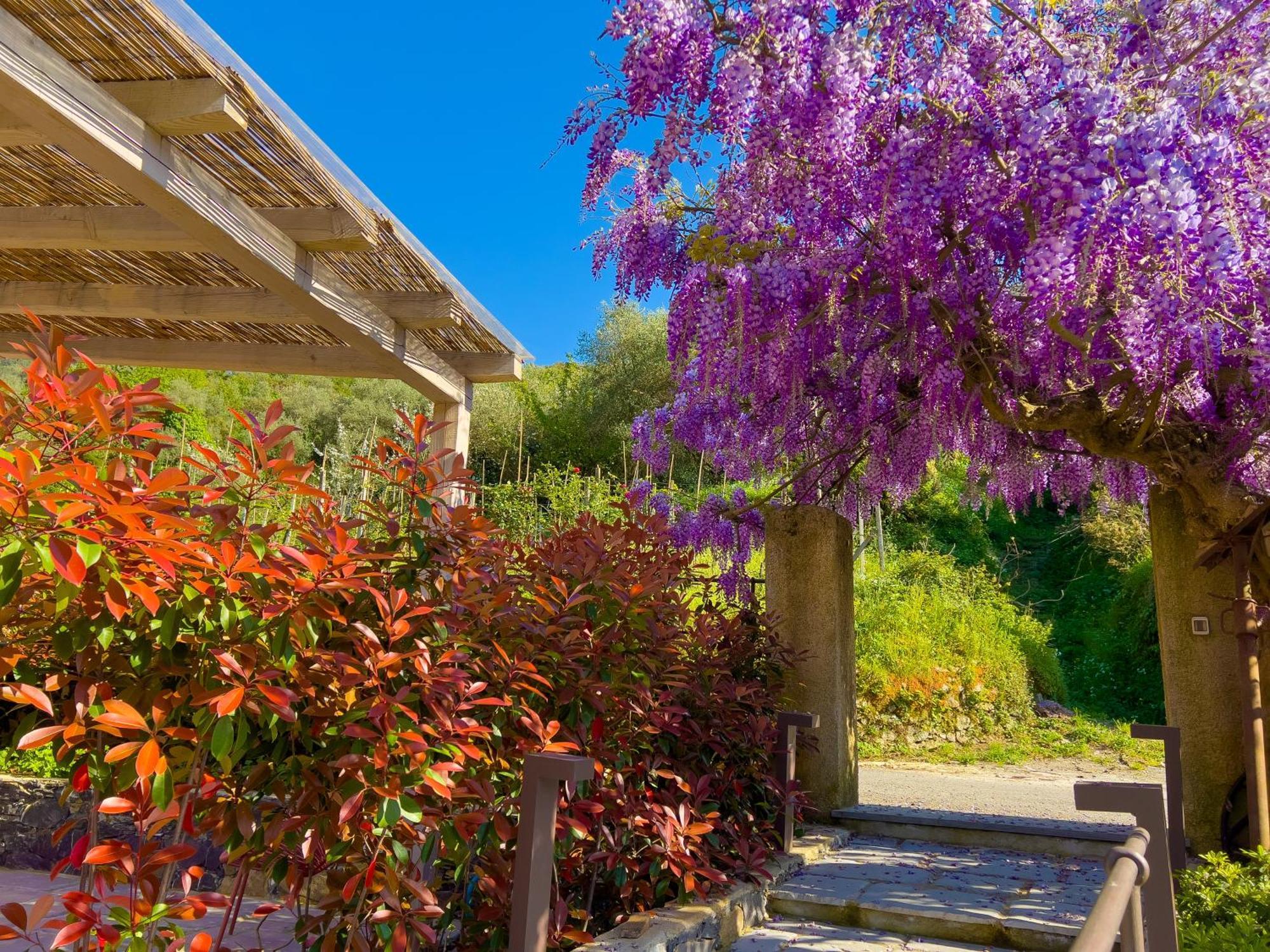 レヴァントLa Casa Dei Gliciniアパートメント エクステリア 写真