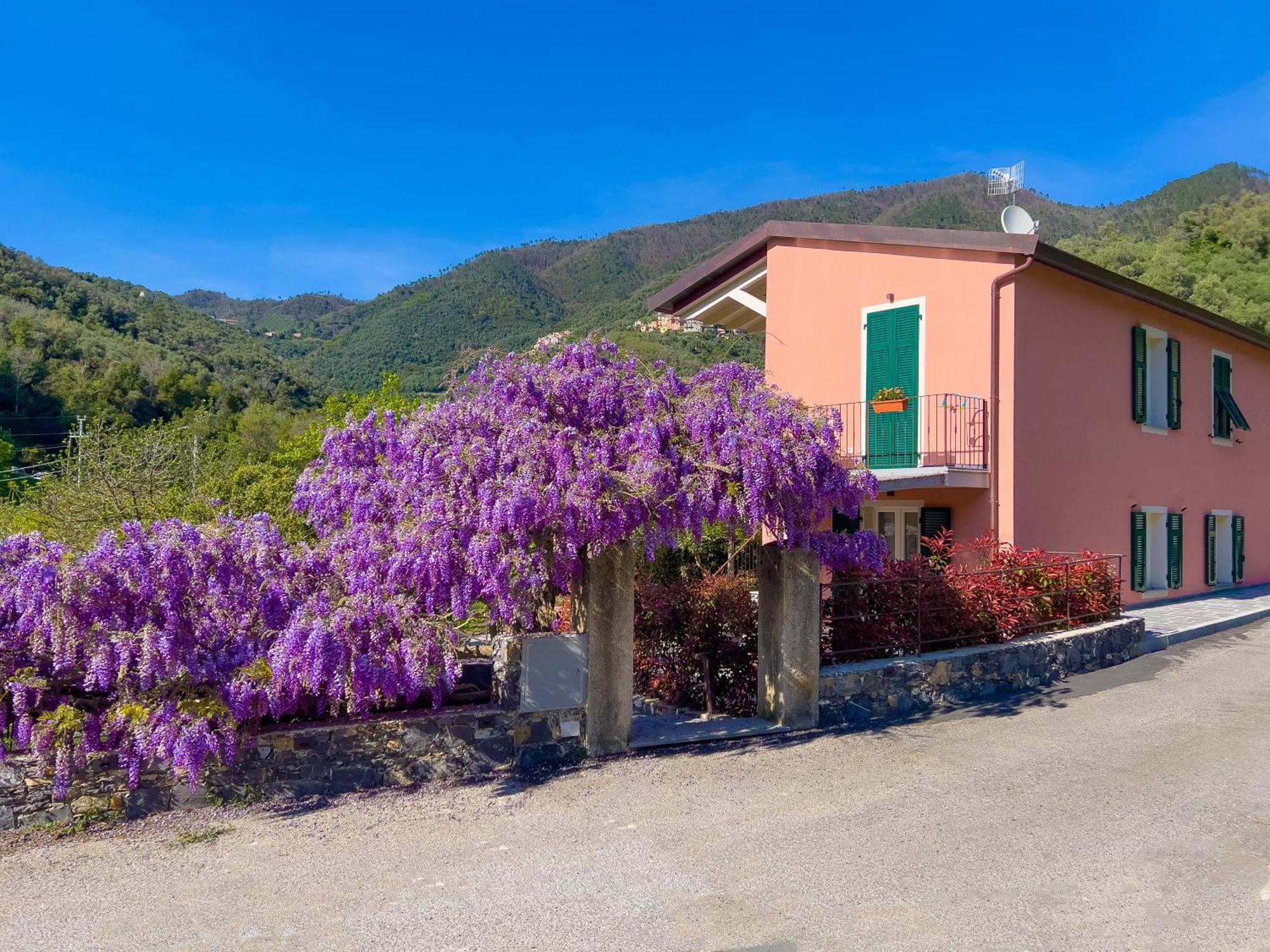 レヴァントLa Casa Dei Gliciniアパートメント エクステリア 写真